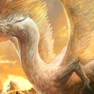 Angry dragon wallpaper