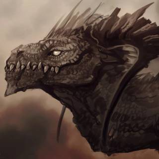 Angry dragon wallpaper