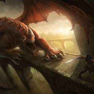 Angry dragon wallpaper