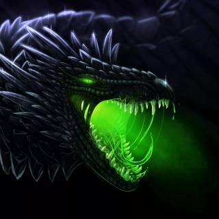 Angry dragon wallpaper