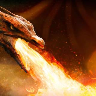 Angry dragon wallpaper