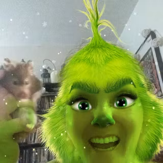 Grinch funny wallpaper