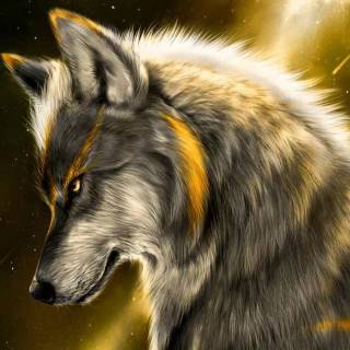 Fierce wolf wallpaper