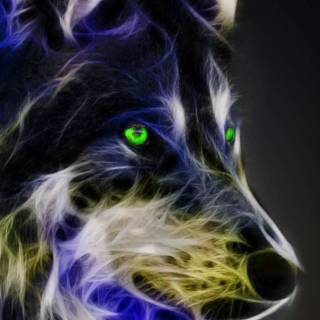 Fierce wolf wallpaper