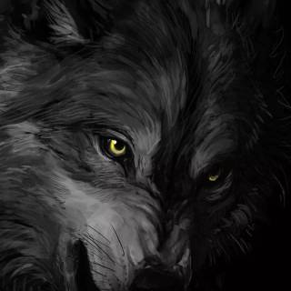 Fierce wolf wallpaper