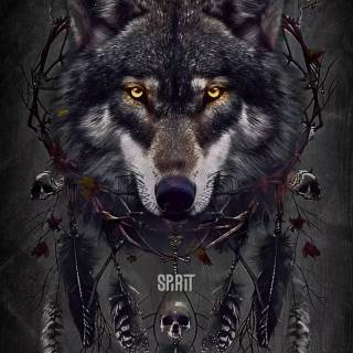 Fierce wolf wallpaper
