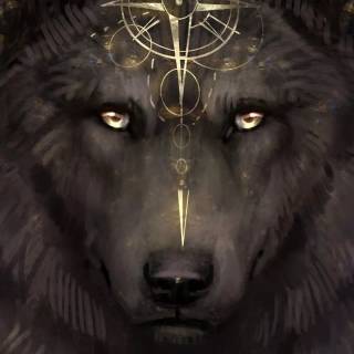 Fierce wolf wallpaper