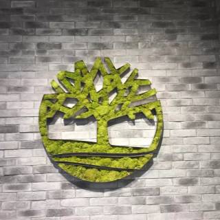 Timberland logo wallpaper