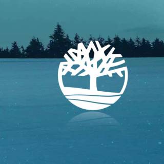 Timberland logo wallpaper