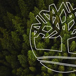 Timberland logo wallpaper