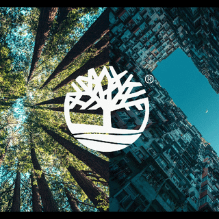 Timberland logo wallpaper