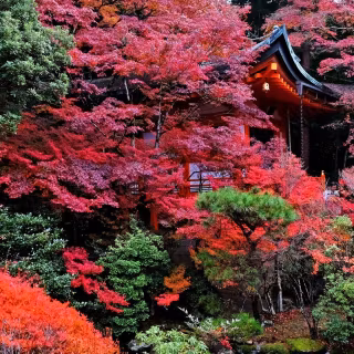 Japan ultrawide wallpaper