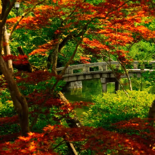 Japan ultrawide wallpaper