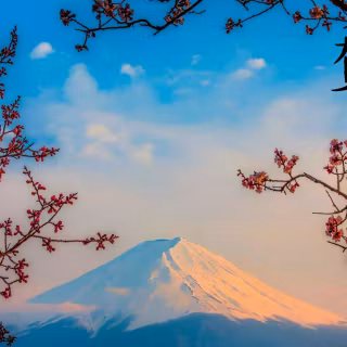 Japan ultrawide wallpaper