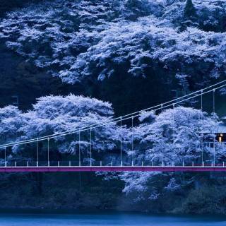 Japan ultrawide wallpaper