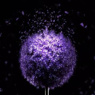 iPhone 4k amoled wallpaper