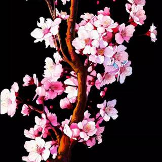 iPhone 4k amoled wallpaper