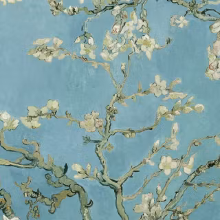 Almond blossoms wallpaper
