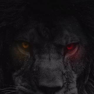 4k Galatasaray phone wallpaper