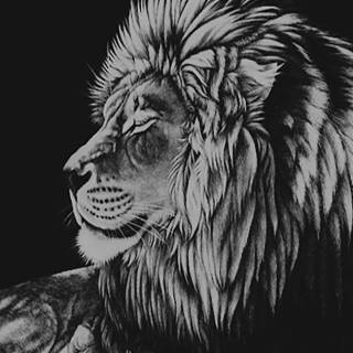 4k Galatasaray phone wallpaper