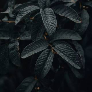 Dark 4k vertical wallpaper