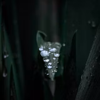 Dark 4k vertical wallpaper