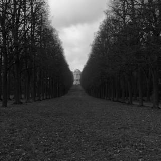 4k dark road wallpaper