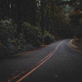 4k dark road wallpaper