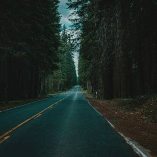 4k dark road wallpaper