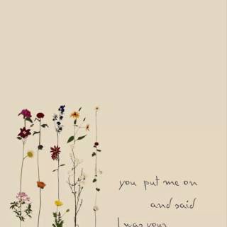 Taylor Swift lyrics phone wallpaper