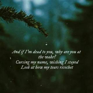 Taylor Swift lyrics phone wallpaper