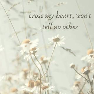 Taylor Swift lyrics phone wallpaper