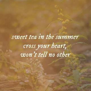 Taylor Swift lyrics phone wallpaper