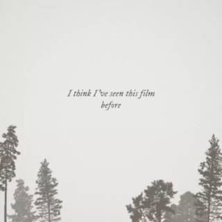 Taylor Swift lyrics phone wallpaper