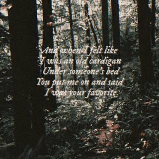 Taylor Swift lyrics phone wallpaper