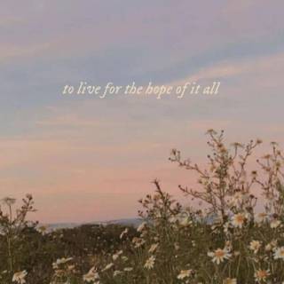 Taylor Swift lyrics phone wallpaper