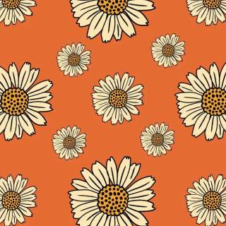 70s iPhone wallpaper