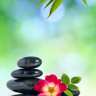 Calming landscape phone wallpaper