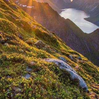 Calming landscape phone wallpaper