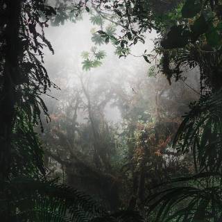 Calming landscape phone wallpaper