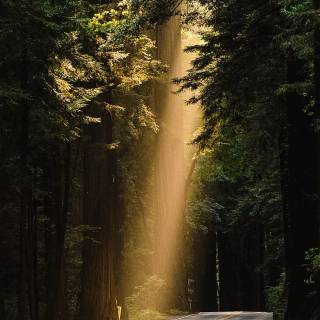 Calming landscape phone wallpaper