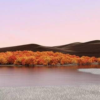 Calming landscape phone wallpaper