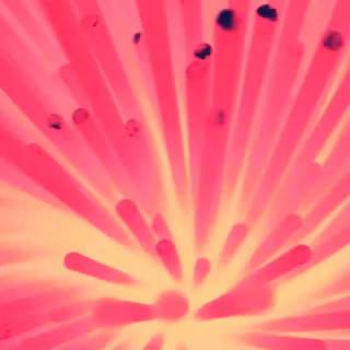 iPhone 16 pink wallpaper