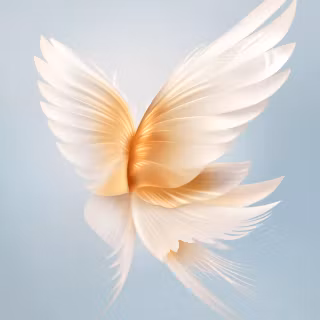 Angel with wings wallpaper