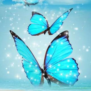 Butterflies phone wallpaper