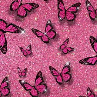 Butterflies phone wallpaper