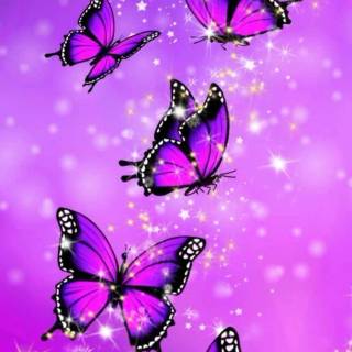 Butterflies phone wallpaper