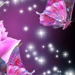 Butterflies phone wallpaper