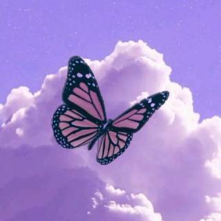 Butterflies phone wallpaper