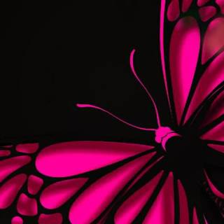 Butterflies phone wallpaper